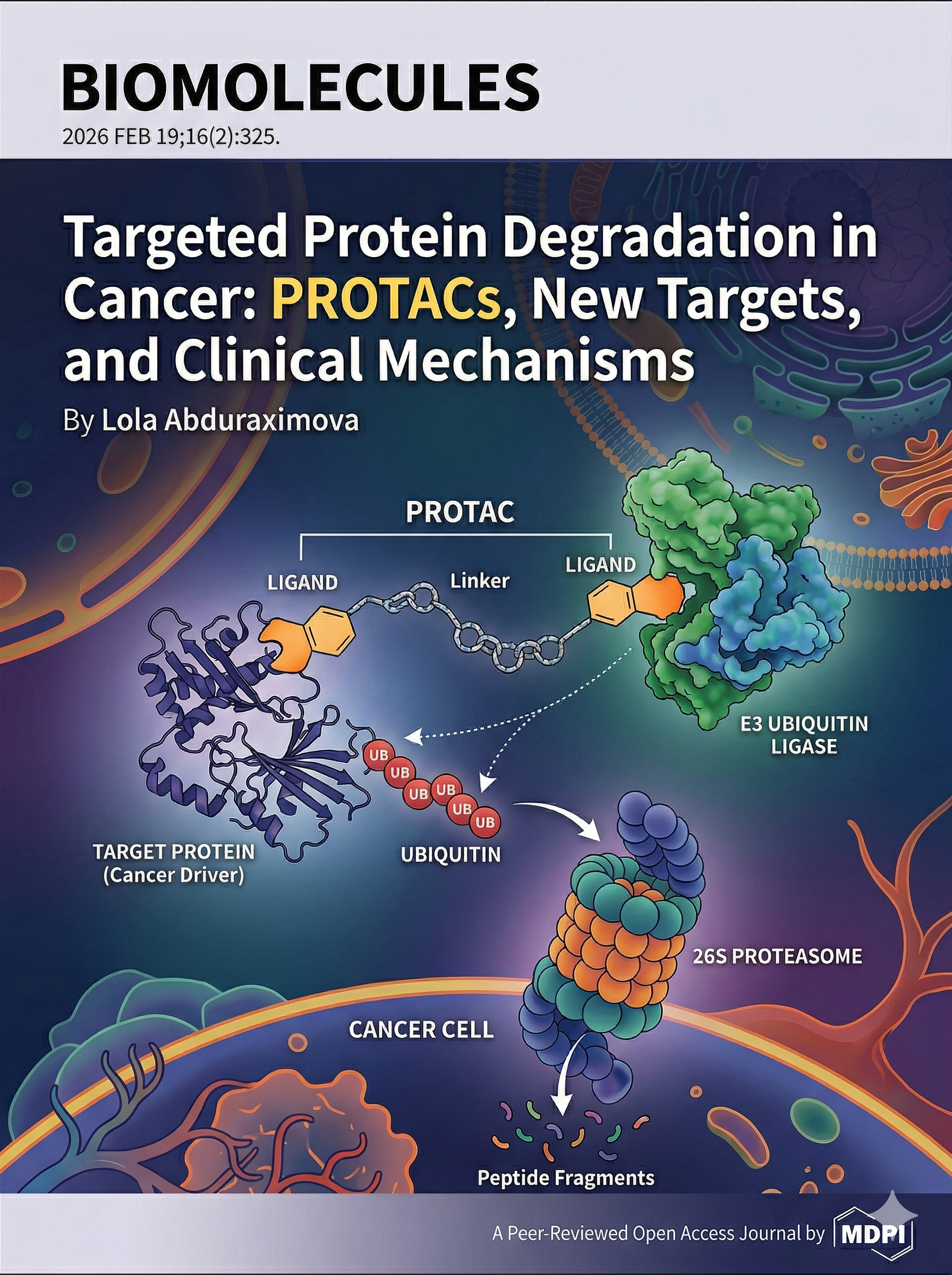 Targeted Protein Degradation in Cancer: PROTACs, New Targets, and Clinical Mechanisms
