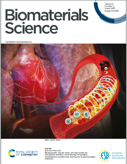 Single-Atom Silver-Borophene Hybrid Hydrogels for Electrically-Stimulated  Wound Healing: A Multifunctional Antibacterial Platform
