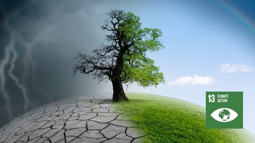 Climate Action